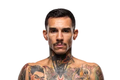Andre Fili