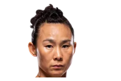 Yan Xiaonan